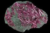 Radiating, Magenta Erythrite Crystals - Bou Azzer, Morocco #93590-1